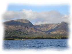 Atlantic Salmon and sea-run trout, Newfoundland, Canada